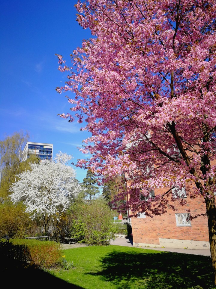 #spring