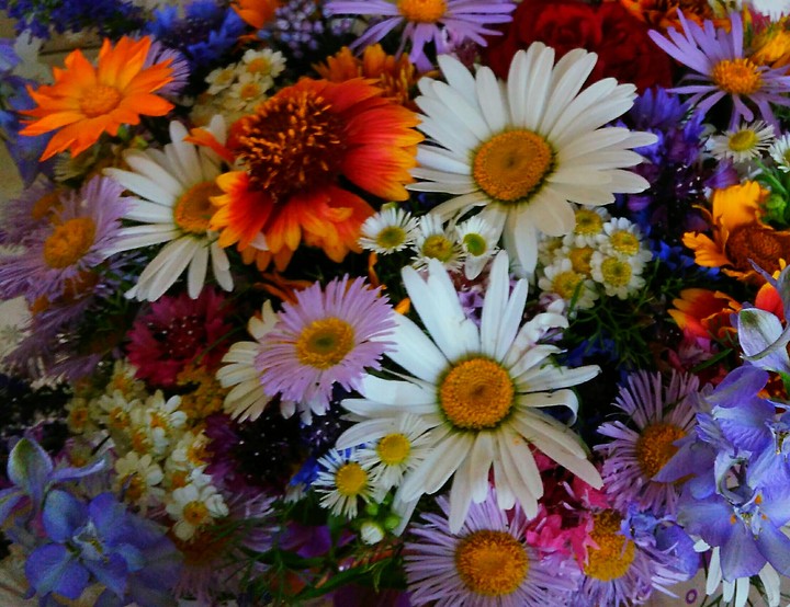 flowers
