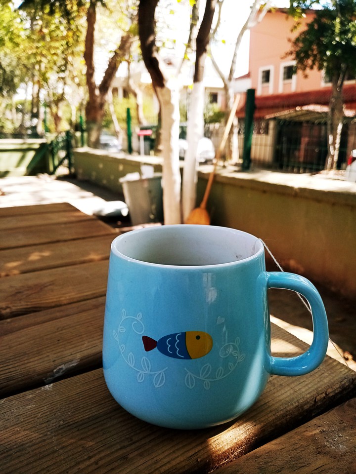 I like cup with fish