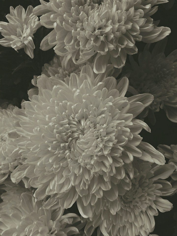 The beauty covered!
