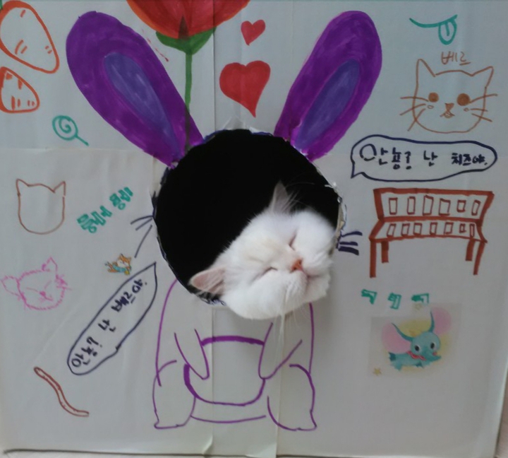 치즈 박스좋아해요ㅎㅎ Z Z Z z