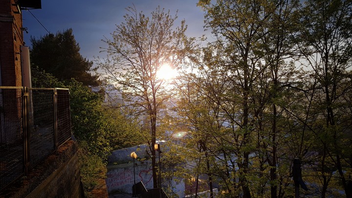 Sunny day