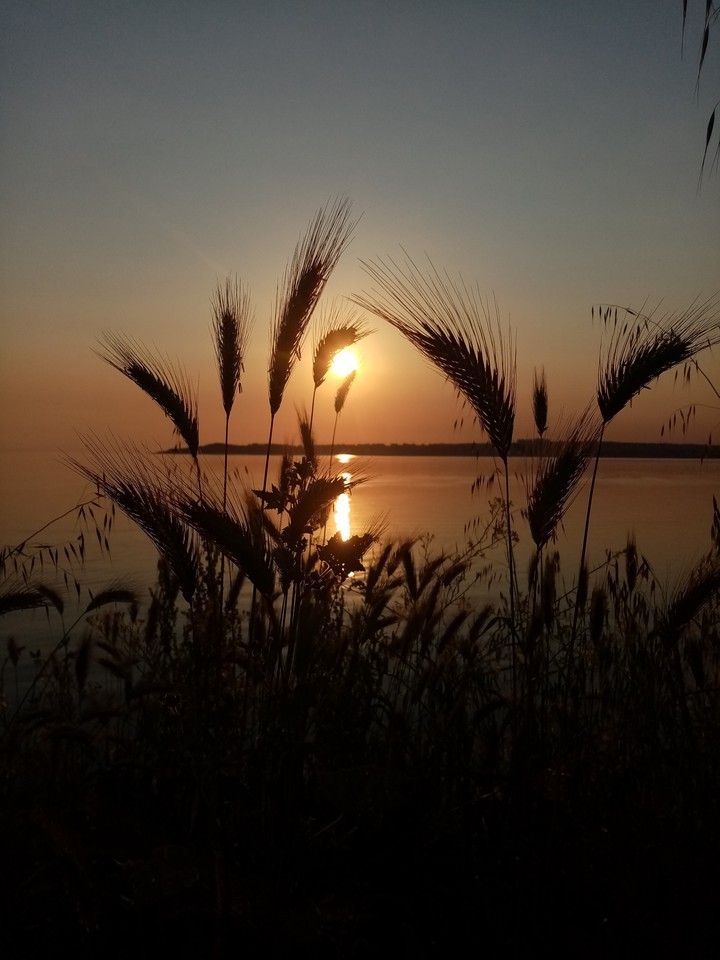 Gün batımı deniz ve başak gölgeleri