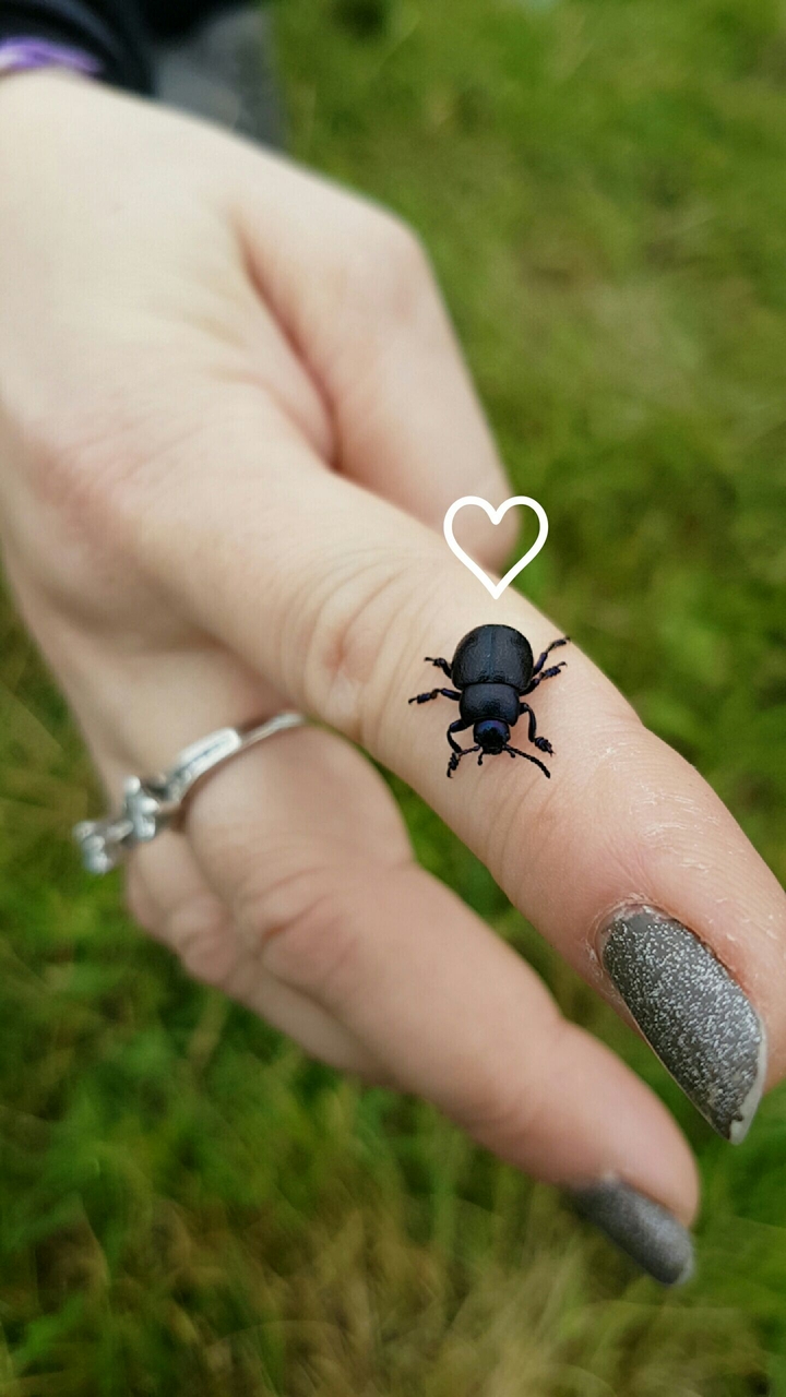 Nature's love ♡