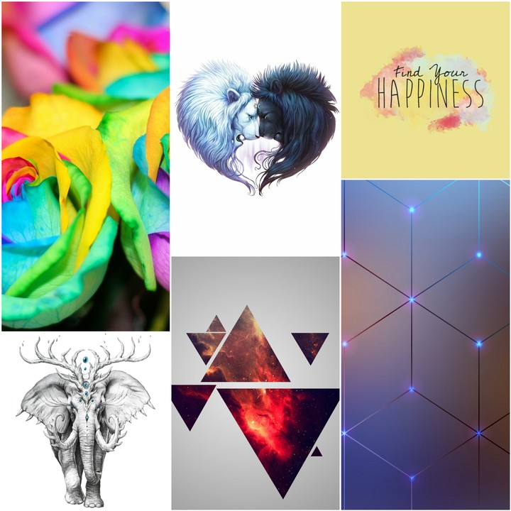new collage