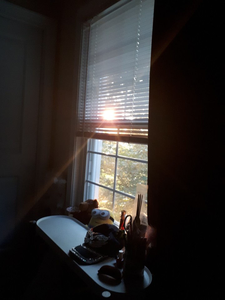 morning