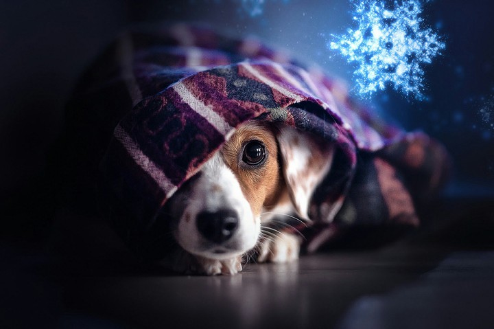 #cute