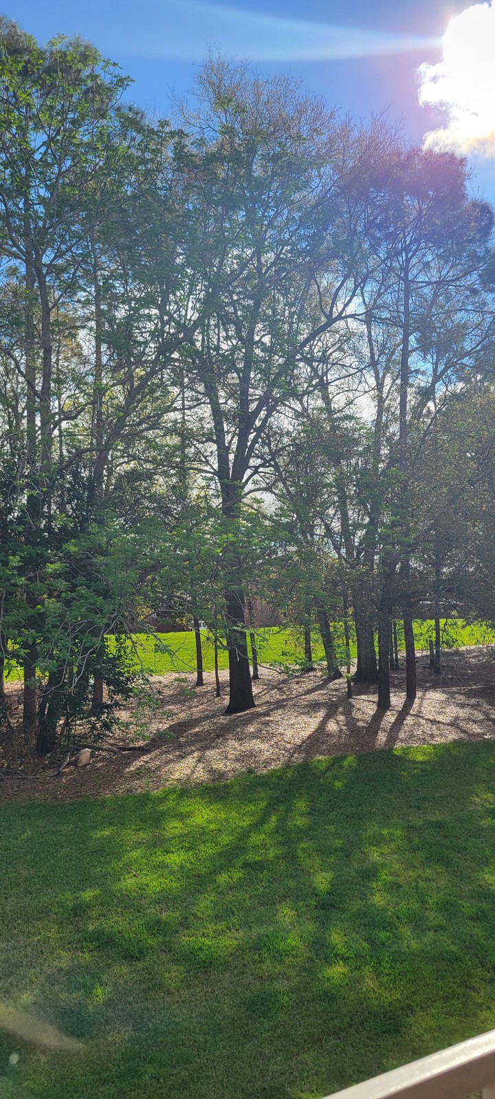 that morning Sundays Sunrays are best