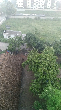 The rainy day