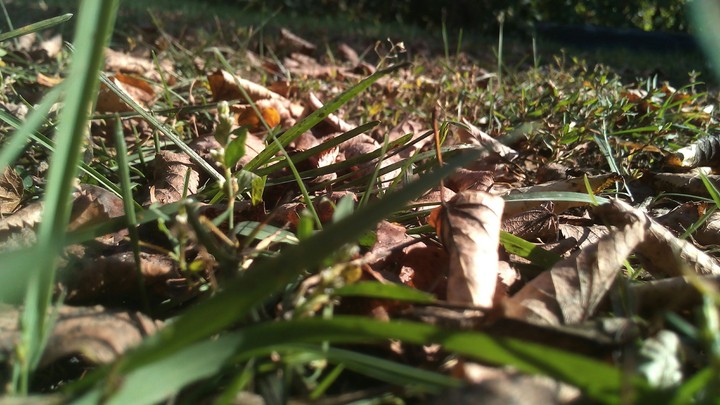 Autumn