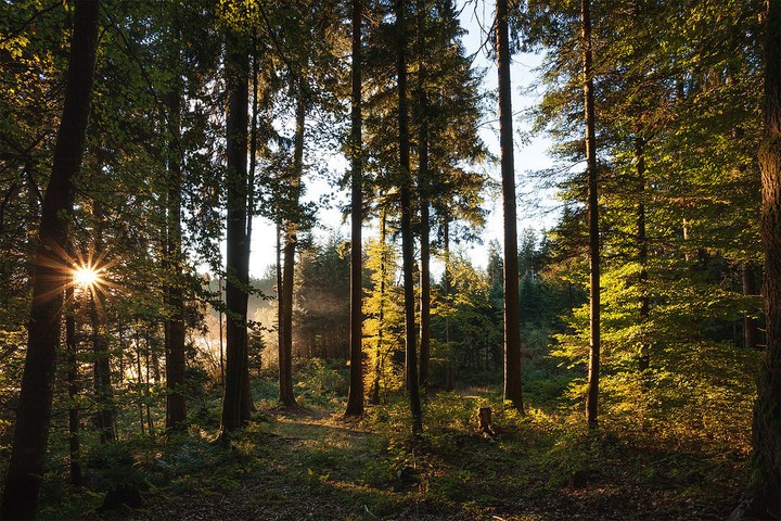nature