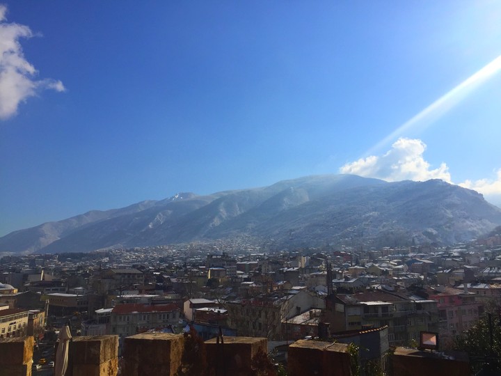 Bursa