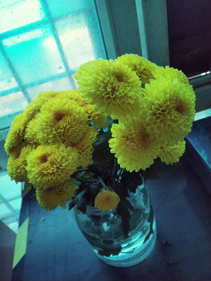 Marigold