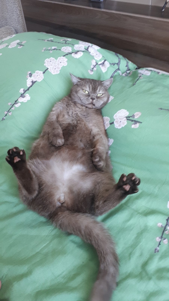 ???