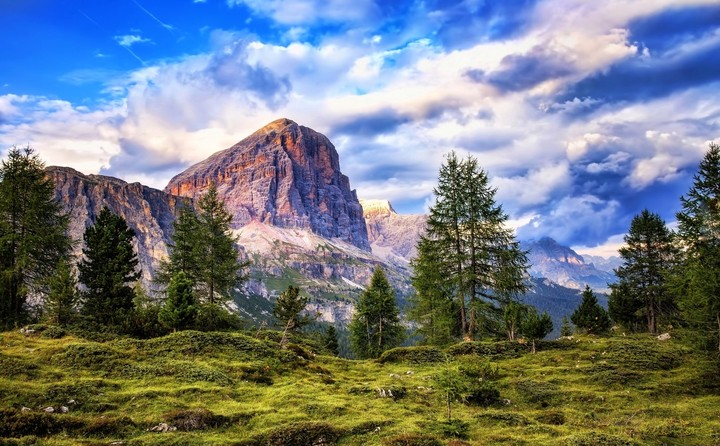 nature
