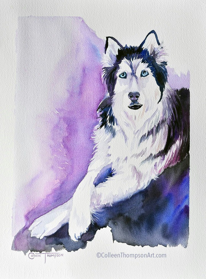 painting of Siberian husky