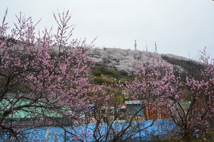 풍경이미지