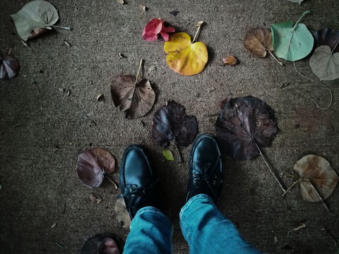 Hojas y zapatos