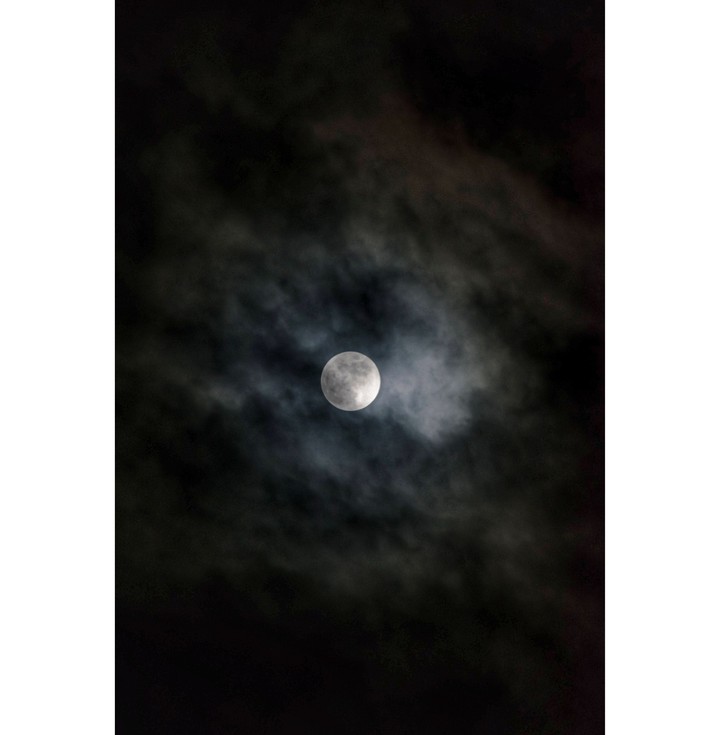 Moony night