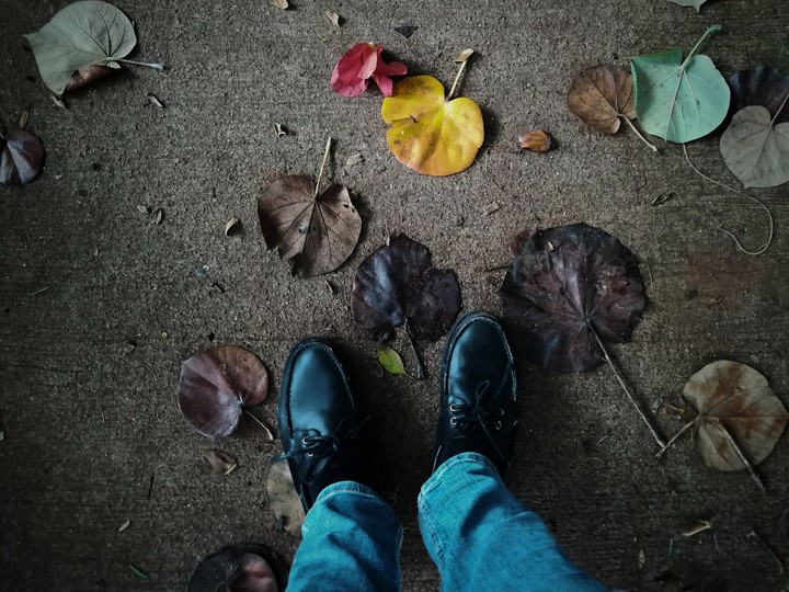 Hojas y zapatos
