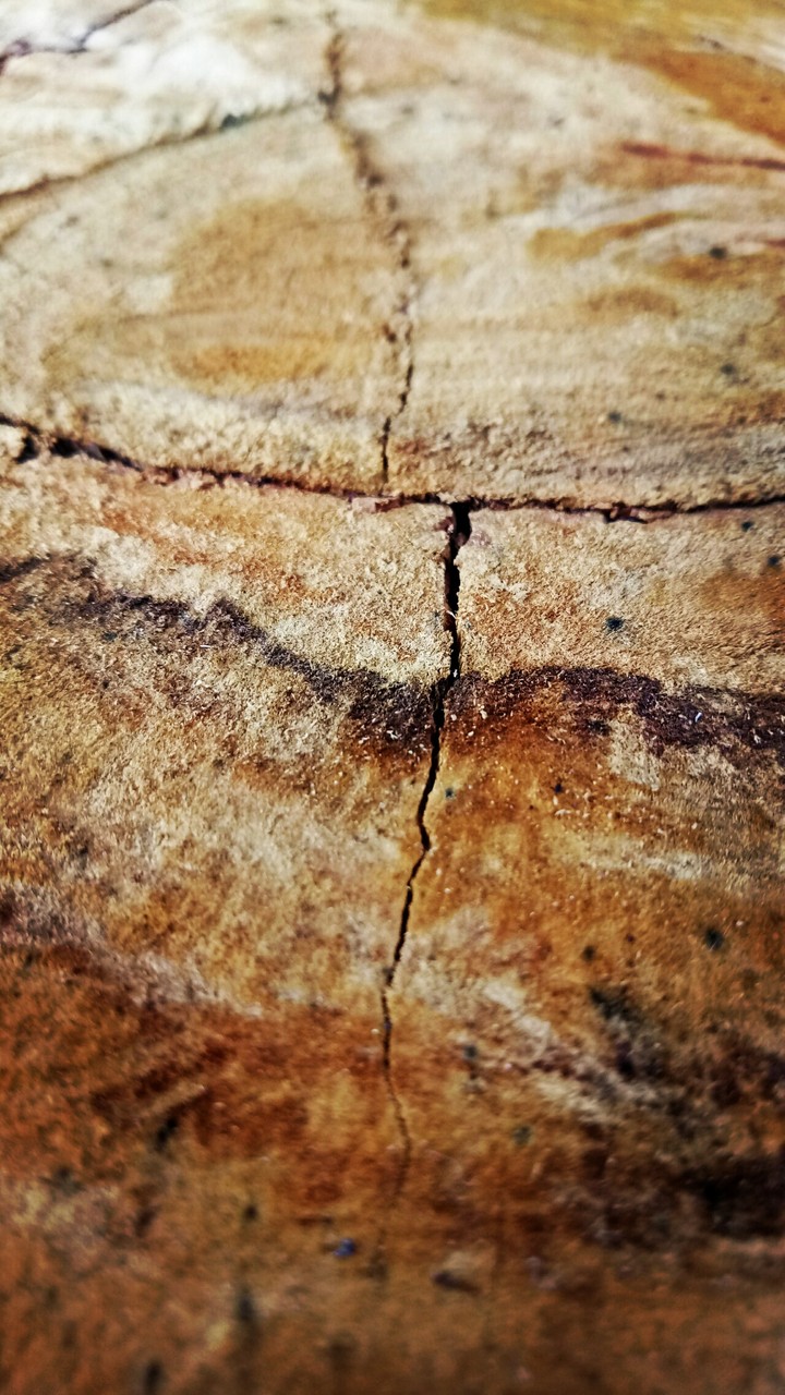 wood