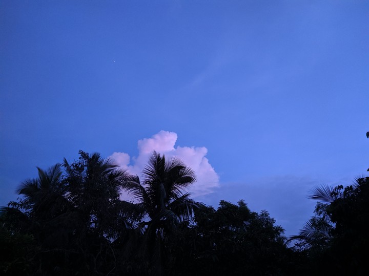 Evening Sky