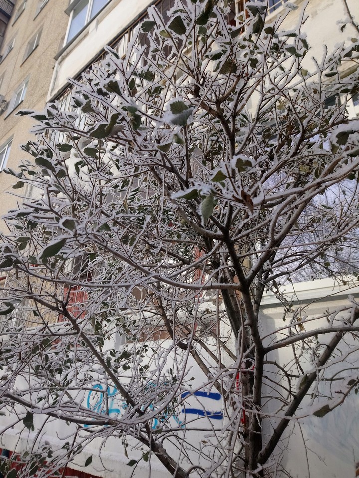 зимавгороде
