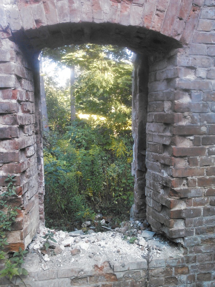 Through the window