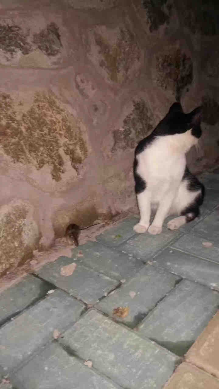?