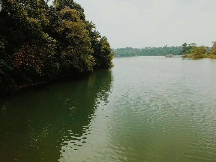 Down the river