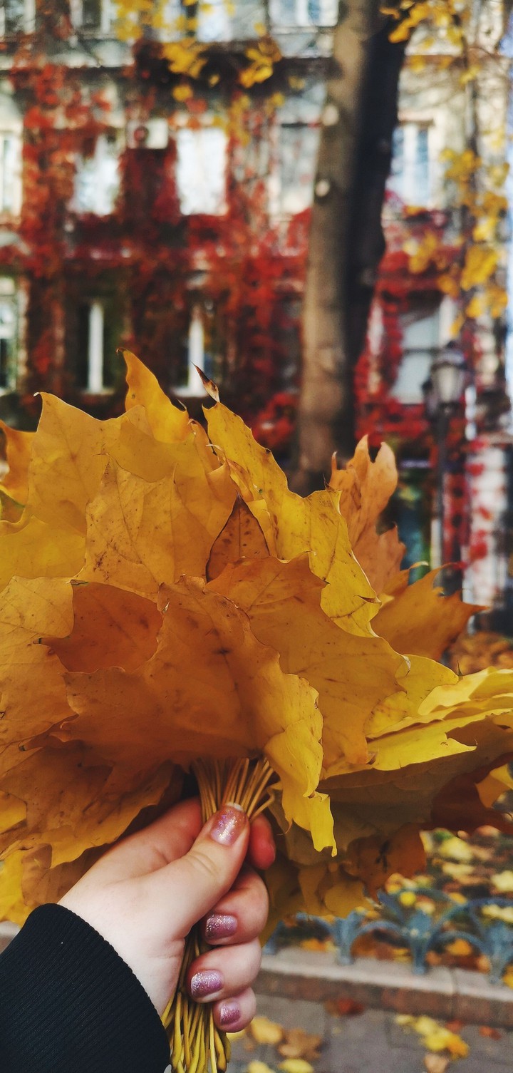 autumn bouquet