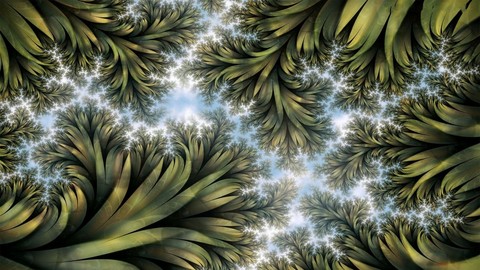 Fractals in Nature ...