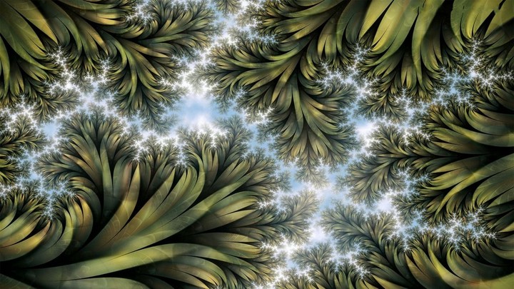 Fractals in Nature ...