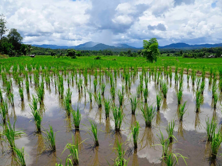 Mae Hong Son