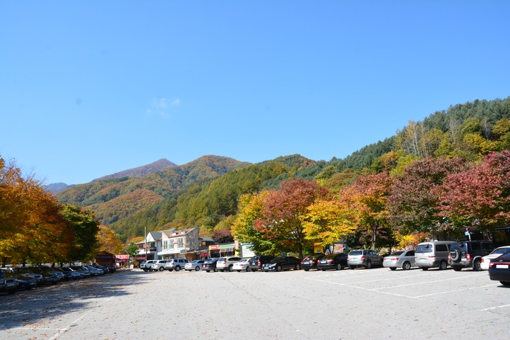 산이미지