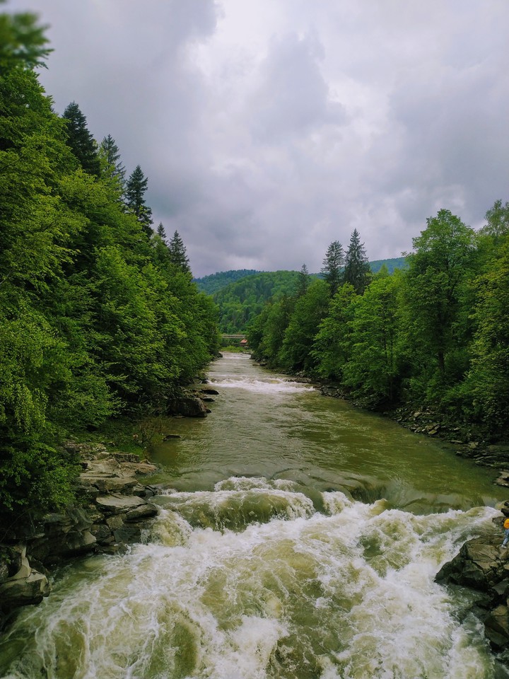 Nature