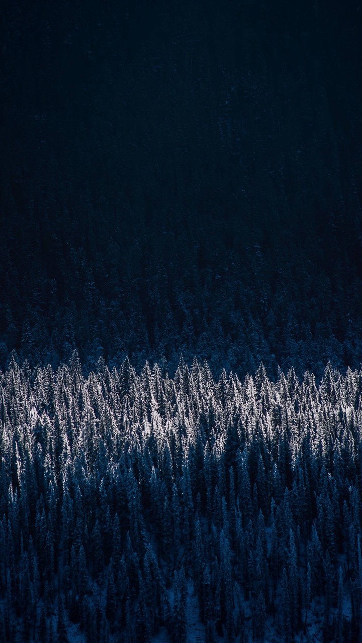 winter vibes