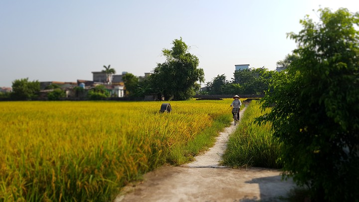 my hometown