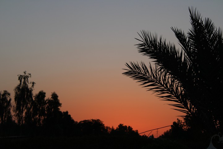 sunset