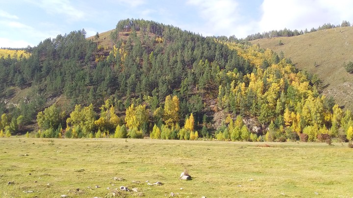 красоты осени