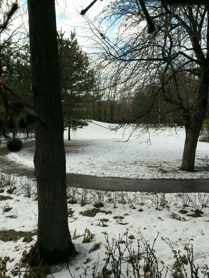 Winter. Estate of Leo Tolstoy
