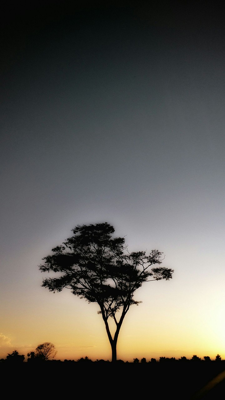 Por do sol