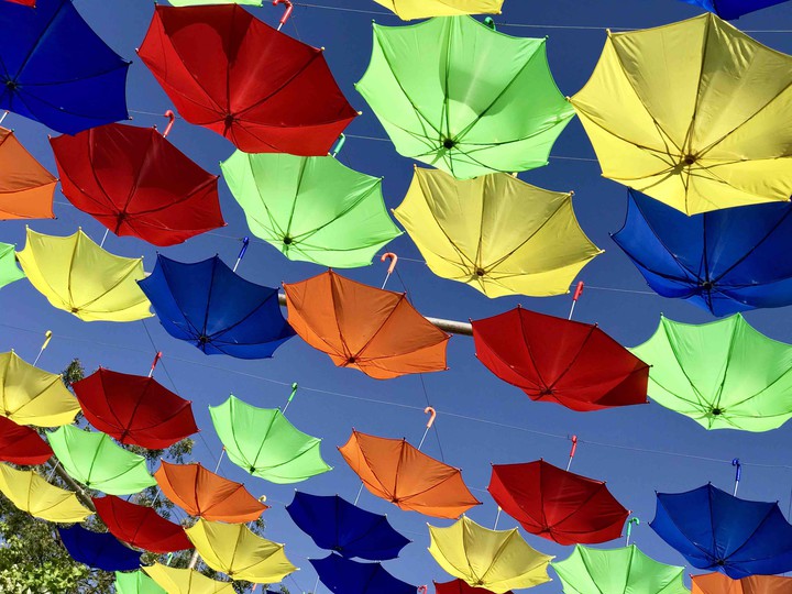 Umbrella canopy at Sula Vineyards - heritage Indian winery