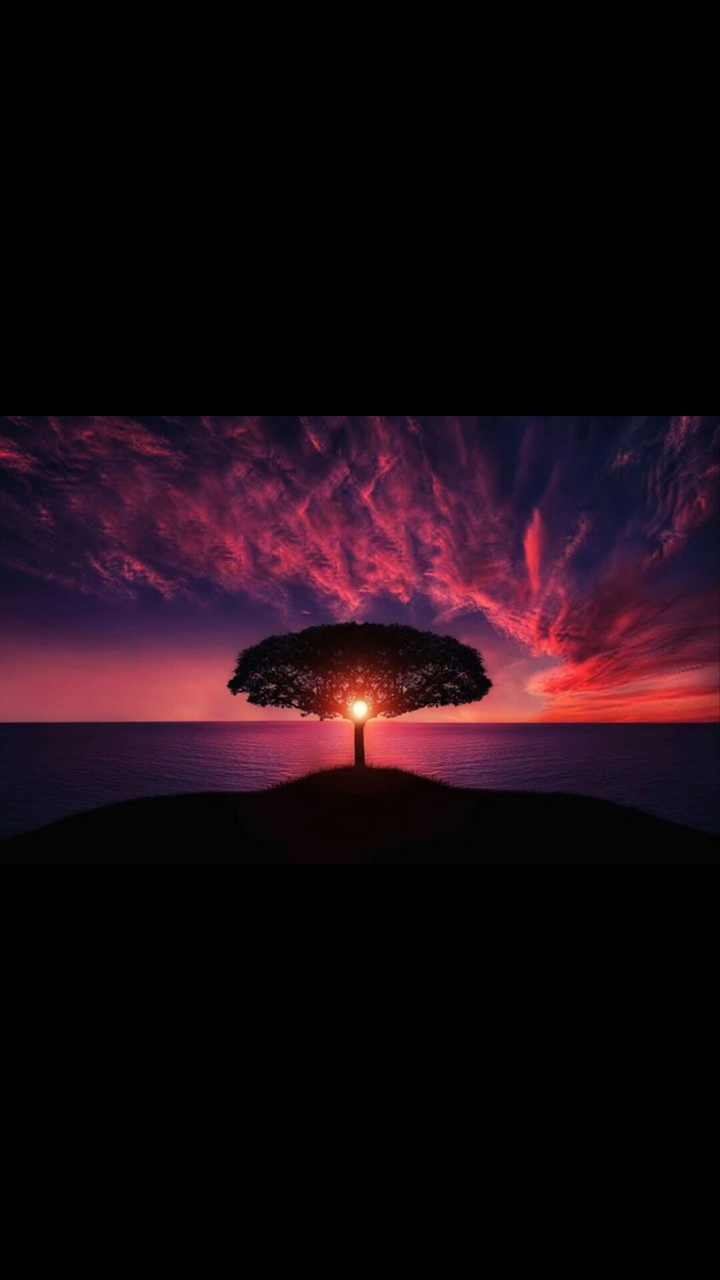 sun setting