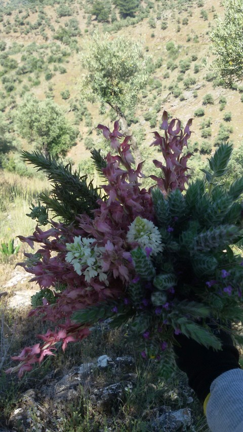 Doğal