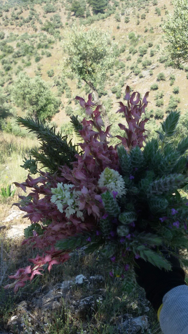 Doğal