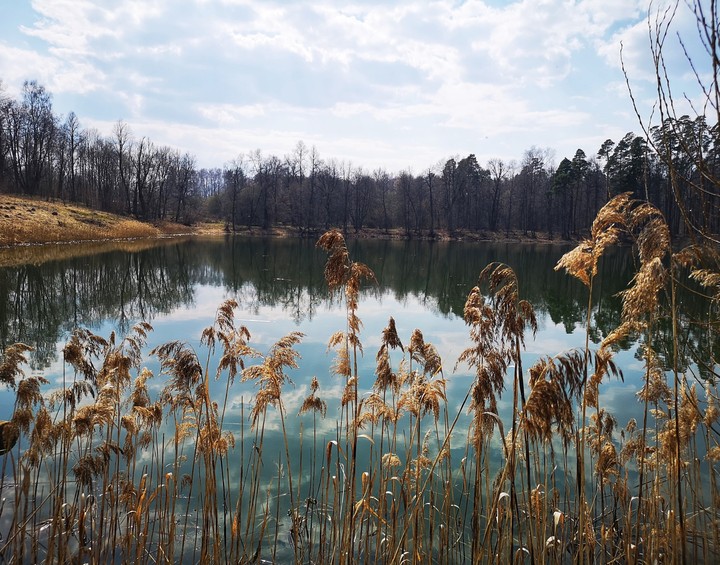 spring lake