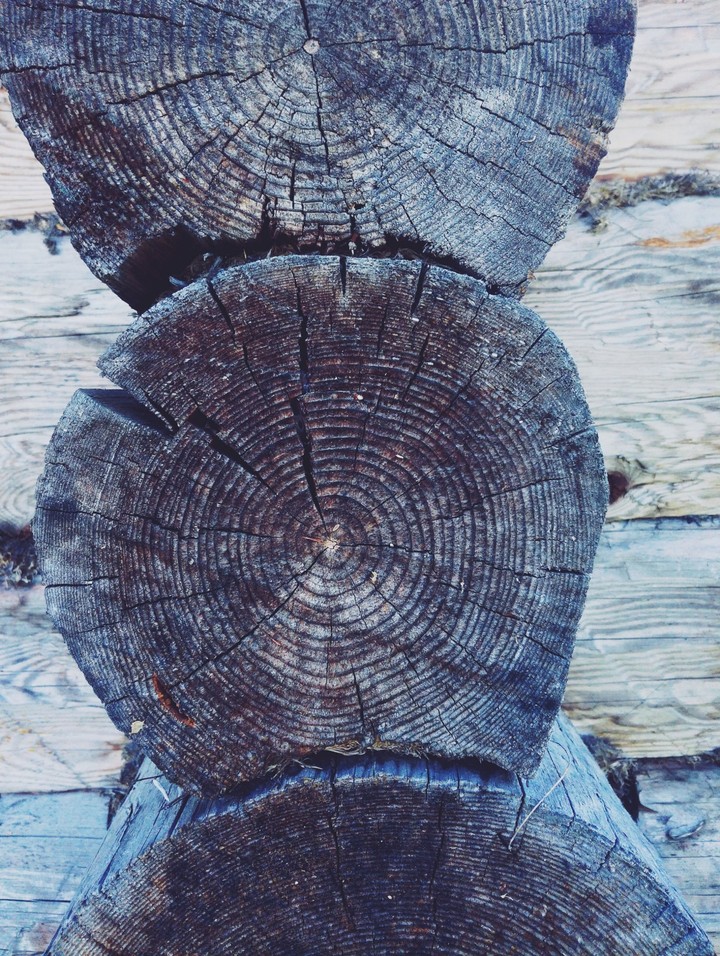 Structure of a tree