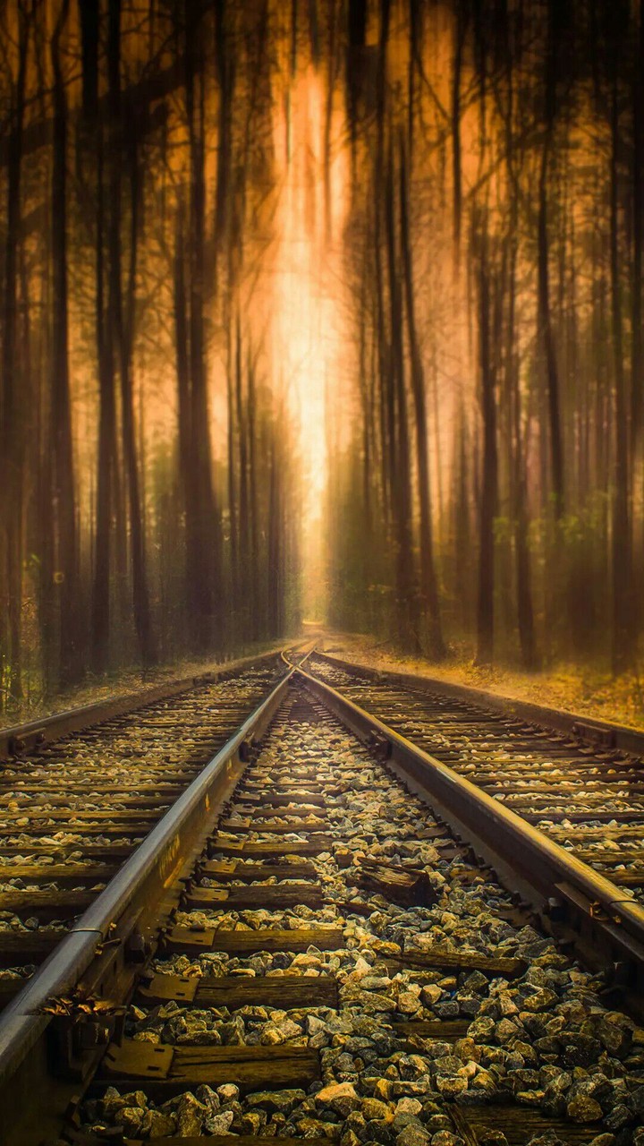 railway tracks