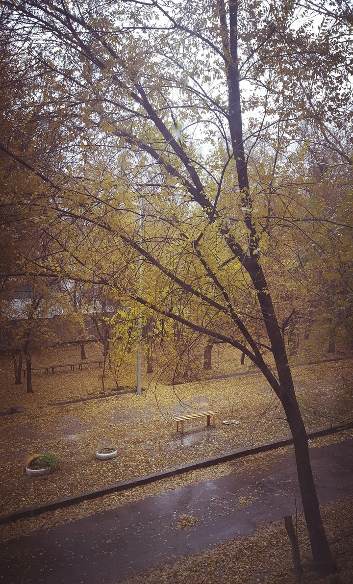 autumn